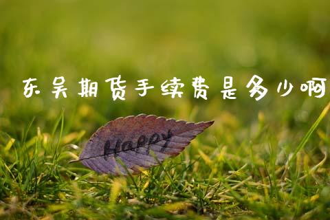 东吴期货手续费是多少啊_https://www.qmgjg.com_恒生指数是什么_第1张