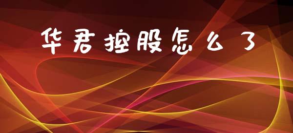 华君控股怎么了_https://www.qmgjg.com_恒生指数是什么_第1张