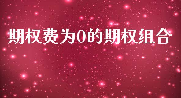 期权费为0的期权组合_https://www.qmgjg.com_港股恒生指数_第1张