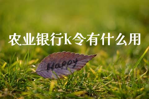 农业银行k令有什么用_https://www.qmgjg.com_恒生指数期货_第1张