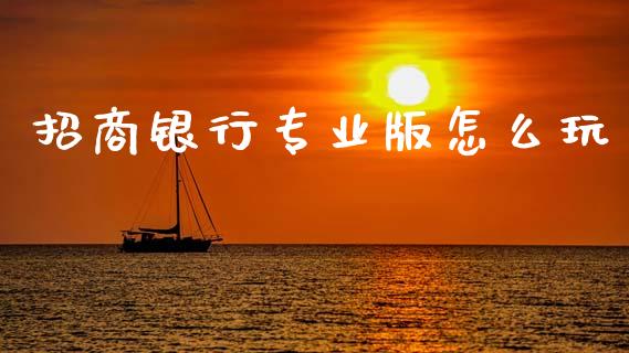 招商银行专业版怎么玩_https://www.qmgjg.com_港股恒生指数_第1张