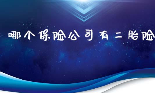 哪个保险公司有二胎险_https://www.qmgjg.com_恒生指数期货_第1张