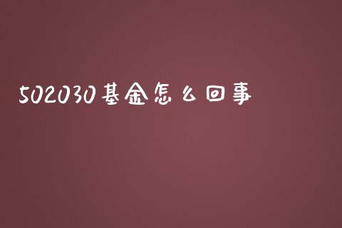 502030基金怎么回事_https://www.qmgjg.com_香港恒生指数_第1张