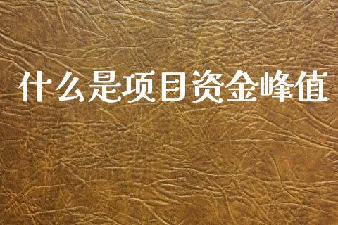 什么是项目资金峰值_https://www.qmgjg.com_港股恒生指数_第1张