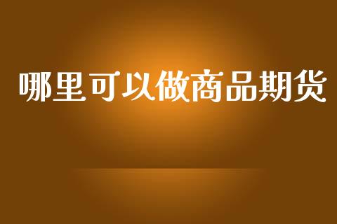 哪里可以做商品期货_https://www.qmgjg.com_恒生指数期货_第1张