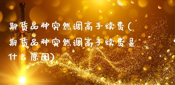 期货品种突然调高手续费(期货品种突然调高手续费是什么原因)_https://www.qmgjg.com_恒生指数是什么_第1张