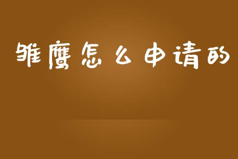 雏鹰怎么申请的_https://www.qmgjg.com_恒生指数是什么_第1张