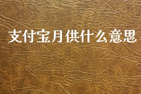 支付宝月供什么意思_https://www.qmgjg.com_香港恒生指数_第1张