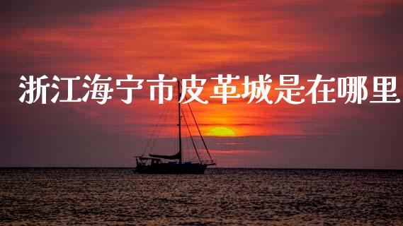 浙江海宁市皮革城是在哪里_https://www.qmgjg.com_港股恒生指数_第1张