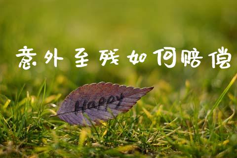 意外至残如何赔偿_https://www.qmgjg.com_恒生指数期货_第1张