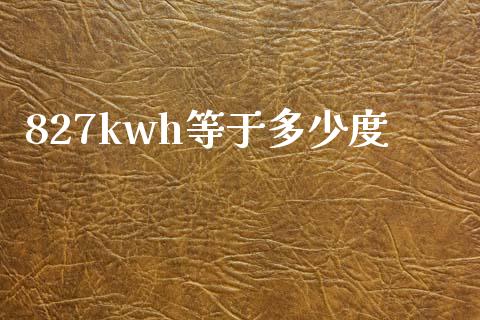 827kwh等于多少度_https://www.qmgjg.com_恒生指数是什么_第1张