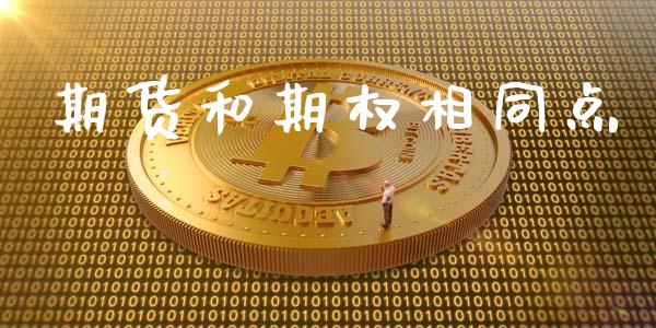 期货和期权相同点_https://www.qmgjg.com_恒生指数期货_第1张