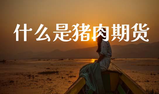 什么是猪肉期货_https://www.qmgjg.com_恒生指数是什么_第1张