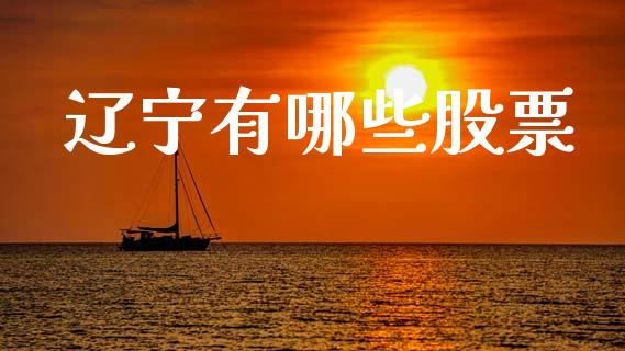 辽宁有哪些股票_https://www.qmgjg.com_恒生指数期货_第1张