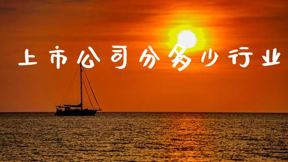 上市公司分多少行业_https://www.qmgjg.com_恒生指数期货_第1张