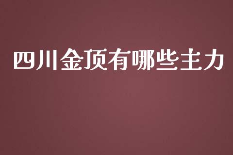 四川金顶有哪些主力_https://www.qmgjg.com_香港恒生指数_第1张