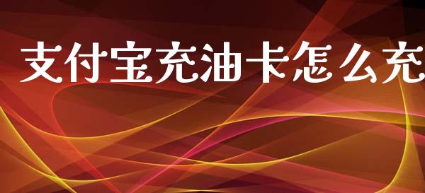 支付宝充油卡怎么充_https://www.qmgjg.com_恒生指数期货_第1张