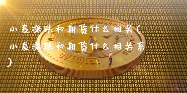 小麦涨跌和期货什么相关(小麦涨跌和期货什么相关系)_https://www.qmgjg.com_港股恒生指数_第1张