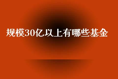 规模30亿以上有哪些基金_https://www.qmgjg.com_港股恒生指数_第1张