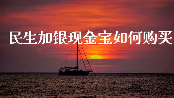 民生加银现金宝如何购买_https://www.qmgjg.com_香港恒生指数_第1张