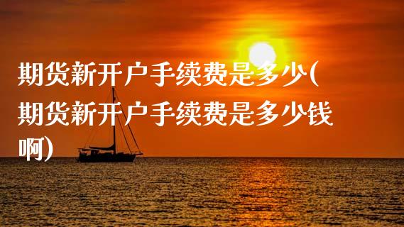 期货新开户手续费是多少(期货新开户手续费是多少钱啊)_https://www.qmgjg.com_港股恒生指数_第1张
