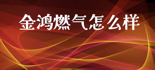 金鸿燃气怎么样_https://www.qmgjg.com_恒生指数期货_第1张