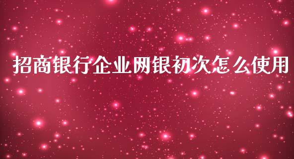 招商银行企业网银初次怎么使用_https://www.qmgjg.com_港股恒生指数_第1张