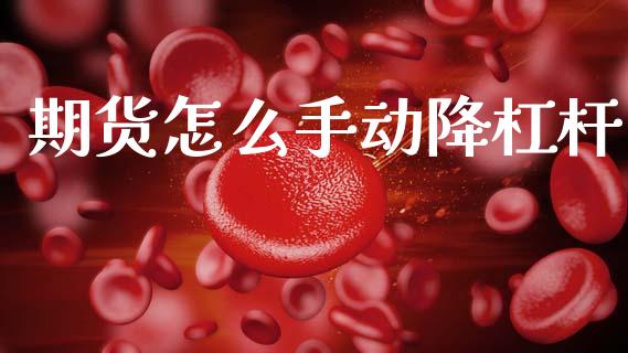 期货怎么手动降杠杆_https://www.qmgjg.com_恒生指数期货_第1张