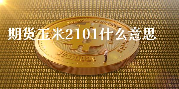 期货玉米2101什么意思_https://www.qmgjg.com_恒生指数期货_第1张