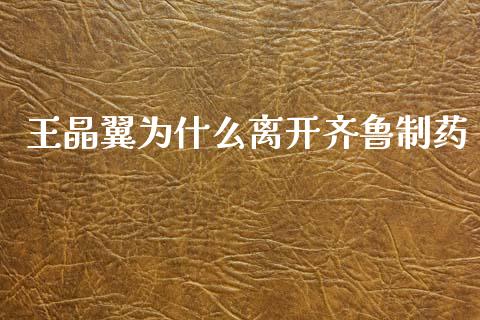王晶翼为什么离开齐鲁制药_https://www.qmgjg.com_香港恒生指数_第1张