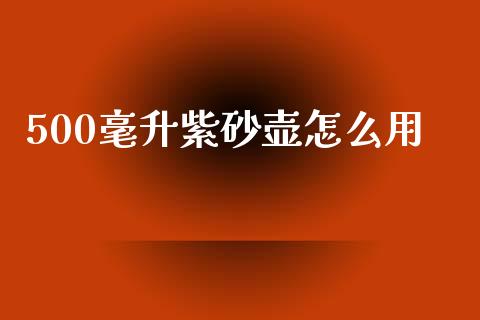 500毫升紫砂壶怎么用_https://www.qmgjg.com_恒生指数是什么_第1张
