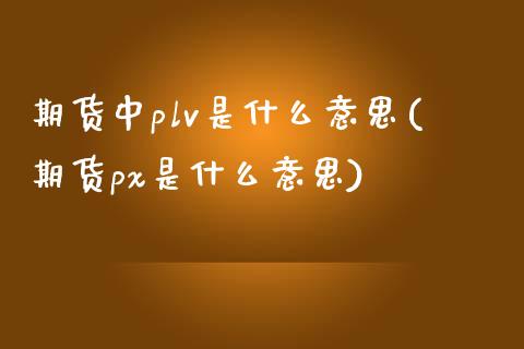 期货中plv是什么意思(期货px是什么意思)_https://www.qmgjg.com_香港恒生指数_第1张