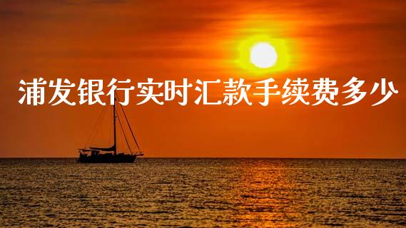 浦发银行实时汇款手续费多少_https://www.qmgjg.com_香港恒生指数_第1张