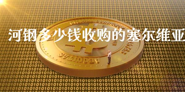 河钢多少钱收购的塞尔维亚_https://www.qmgjg.com_恒生指数期货_第1张