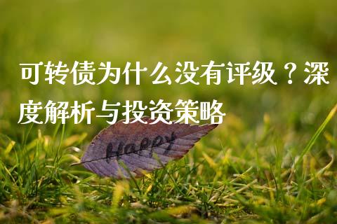 可转债为什么没有评级？深度解析与投资策略_https://www.qmgjg.com_港股恒生指数_第1张