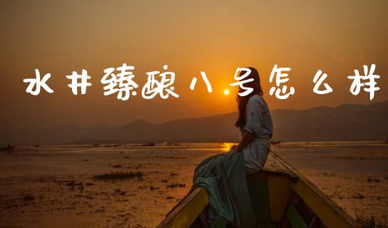 水井臻酿八号怎么样_https://www.qmgjg.com_港股恒生指数_第1张