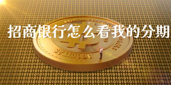招商银行怎么看我的分期_https://www.qmgjg.com_恒生指数期货_第1张
