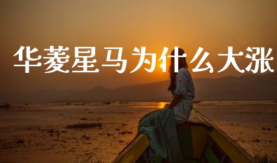 华菱星马为什么大涨_https://www.qmgjg.com_港股恒生指数_第1张