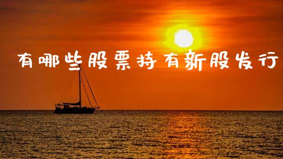 有哪些股票持有新股发行_https://www.qmgjg.com_香港恒生指数_第1张