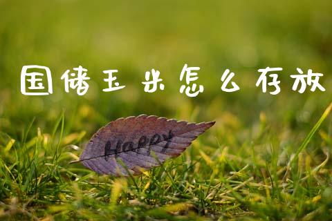 国储玉米怎么存放_https://www.qmgjg.com_恒生指数期货_第1张