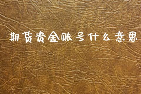 期货资金账号什么意思_https://www.qmgjg.com_香港恒生指数_第1张
