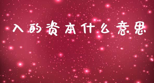入的资本什么意思_https://www.qmgjg.com_恒生指数是什么_第1张