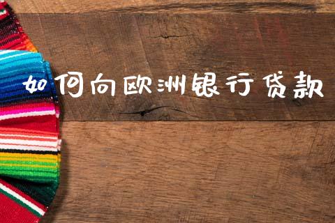 如何向欧洲银行贷款_https://www.qmgjg.com_恒生指数期货_第1张