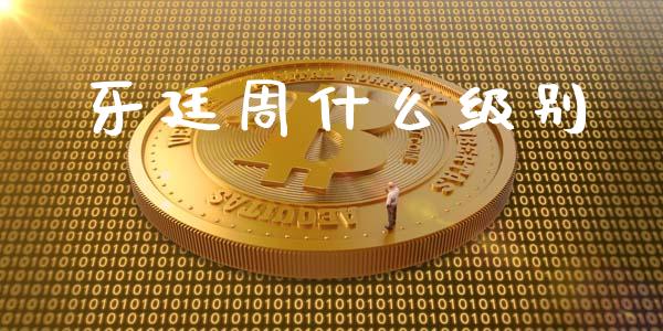 牙廷周什么级别_https://www.qmgjg.com_港股恒生指数_第1张