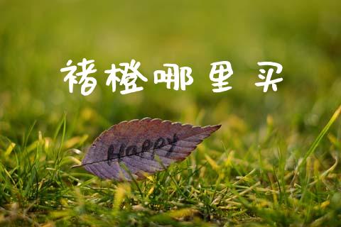 褚橙哪里买_https://www.qmgjg.com_恒生指数是什么_第1张