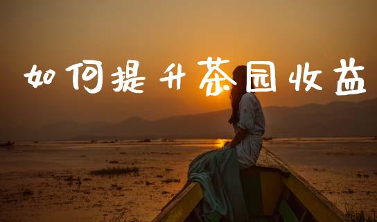 如何提升茶园收益_https://www.qmgjg.com_恒生指数期货_第1张