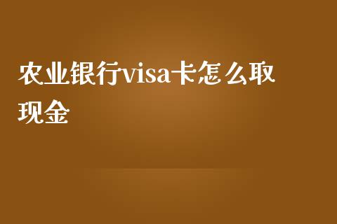 农业银行visa卡怎么取现金_https://www.qmgjg.com_恒生指数期货_第1张