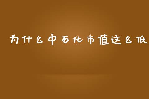 为什么中石化市值这么低_https://www.qmgjg.com_港股恒生指数_第1张