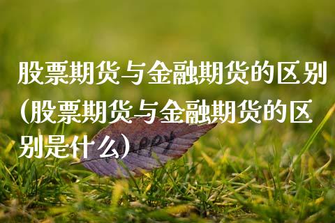股票期货与金融期货的区别(股票期货与金融期货的区别是什么)_https://www.qmgjg.com_恒生指数是什么_第1张