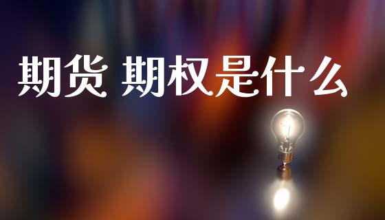 期货 期权是什么_https://www.qmgjg.com_港股恒生指数_第1张